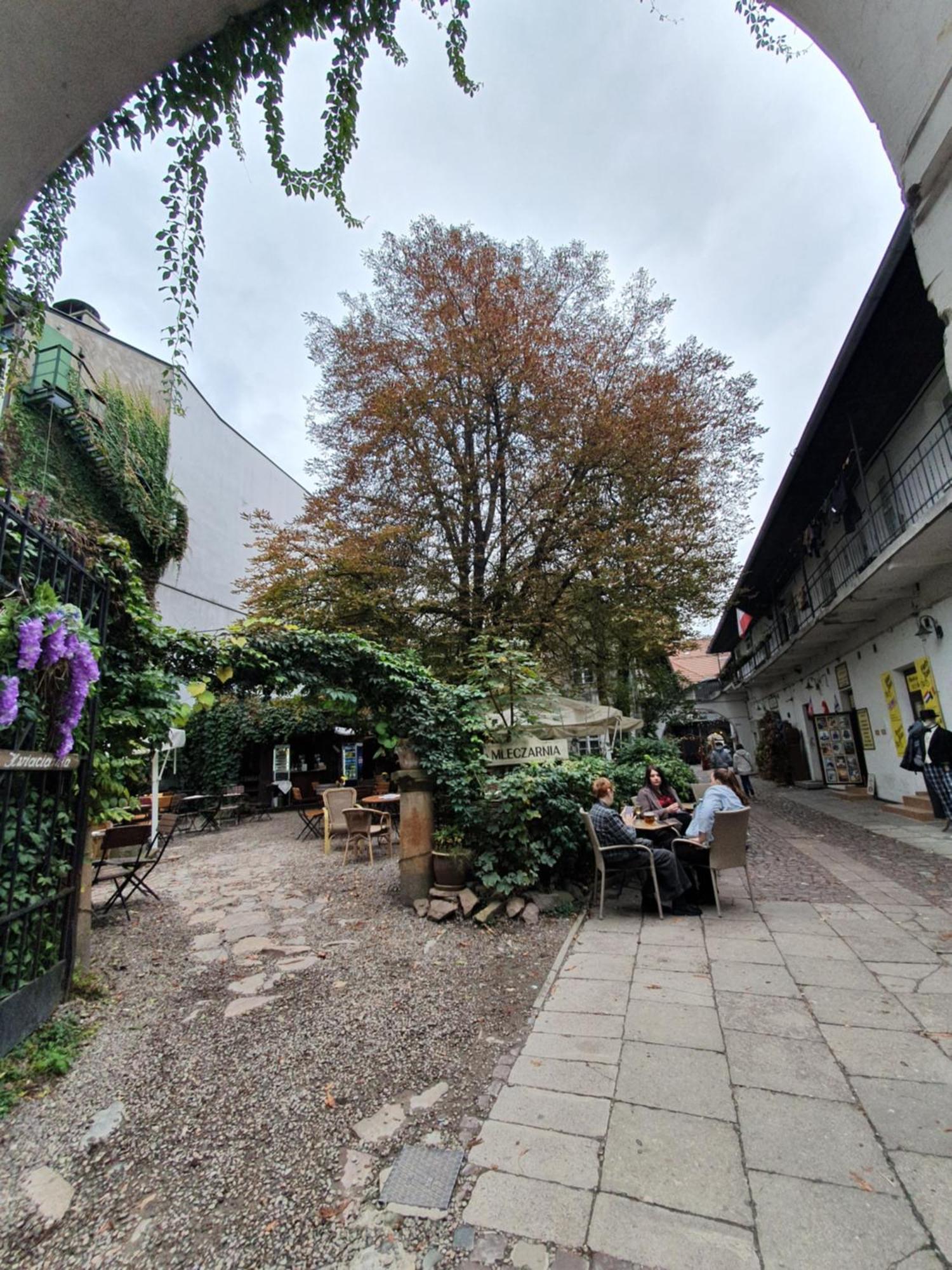 B-4 Krakow Stary Kazimierz O&P Apartfamily Luaran gambar